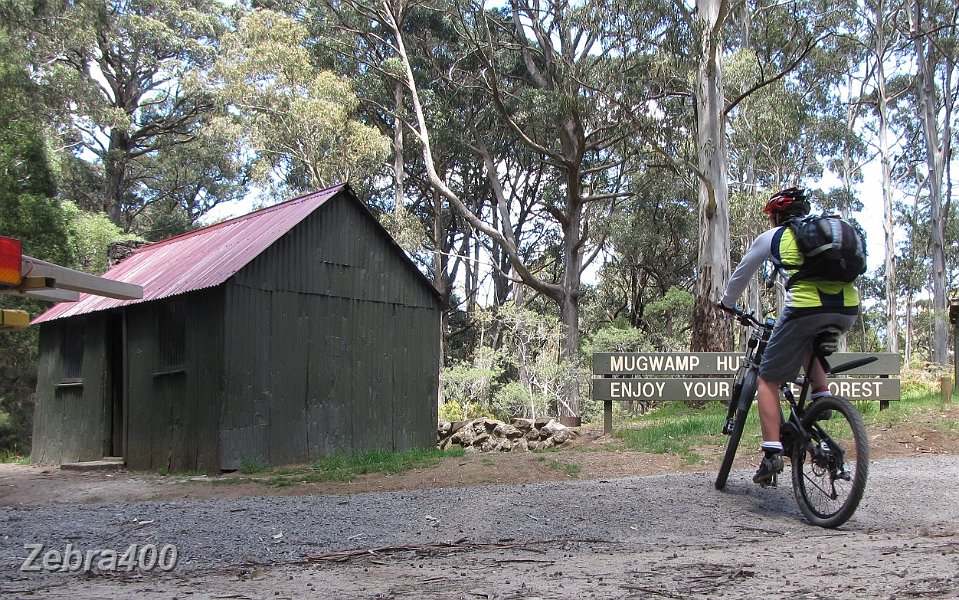 02-Heidi checks out Mugwamp Hut near Mt Cole.jpg